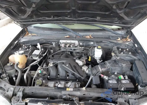 2007 Ford Escape Xlt/Xlt Sport z USA, uszkodzony, nr VIN 1FMYU03187KB51528